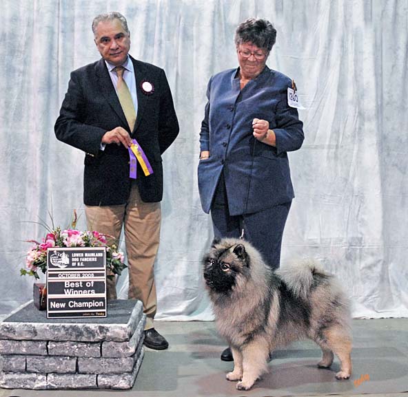Truffle became not only a Best In Specialty Winner but also a New Canadian Champion! And she is just a year and a half old!